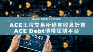 ACE Debt